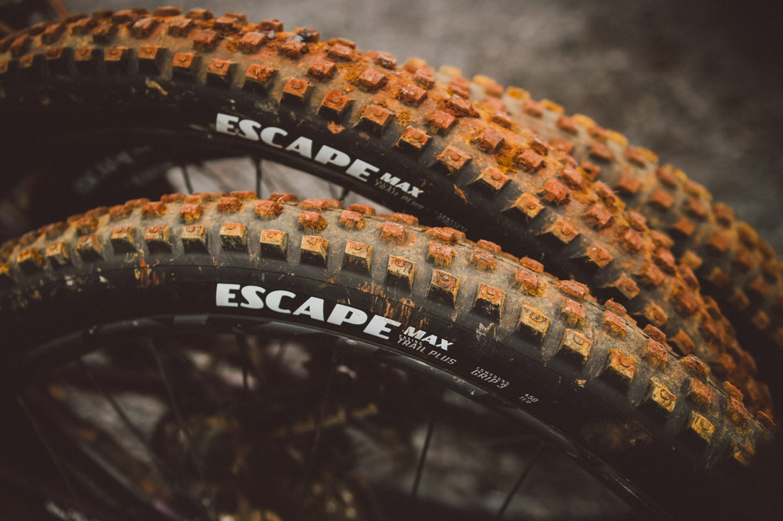 A new generation of Escape