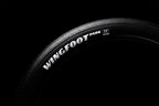 Wingfoot Park